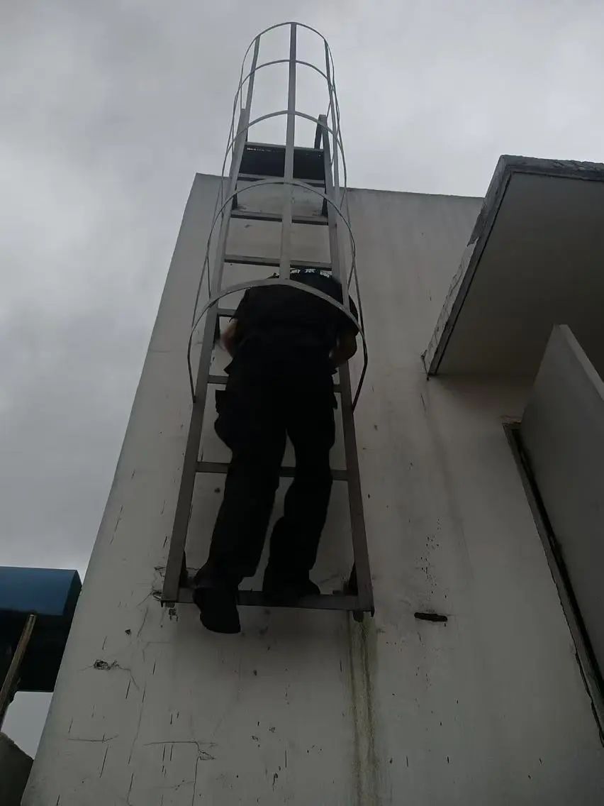 C:/Users/BA/Desktop/風(fēng)雨過后南京保安迅速行動，恢復(fù)安“寧”面貌/3.jpg3